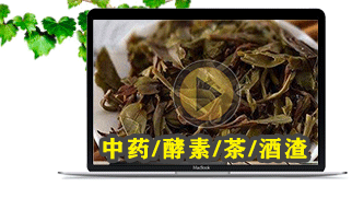 免费资料正版资料大全