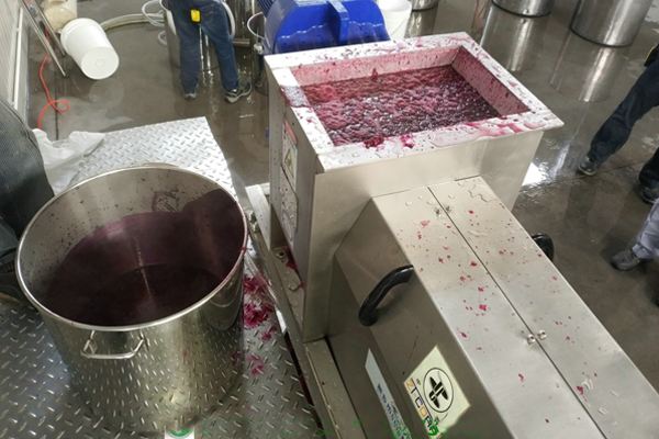 免费资料正版资料大全