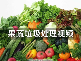 免费资料正版资料大全