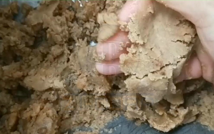 免费资料正版资料大全