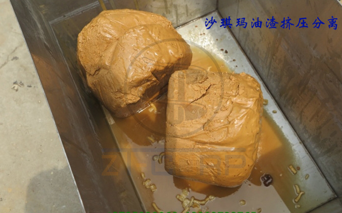 免费资料正版资料大全
