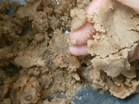 免费资料正版资料大全