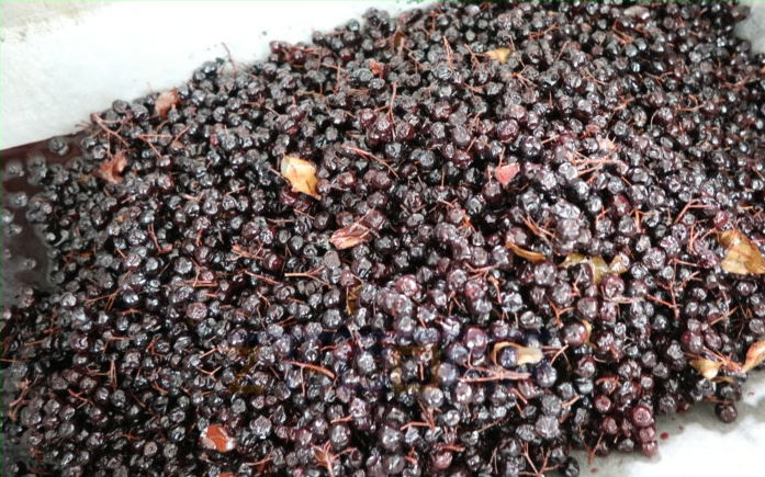 免费资料正版资料大全