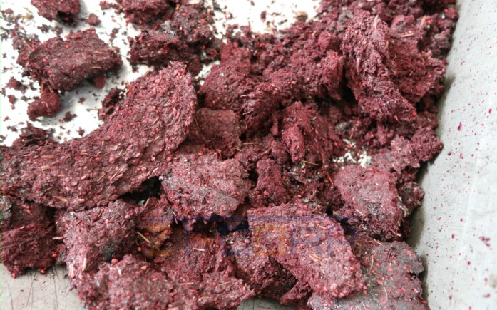 免费资料正版资料大全