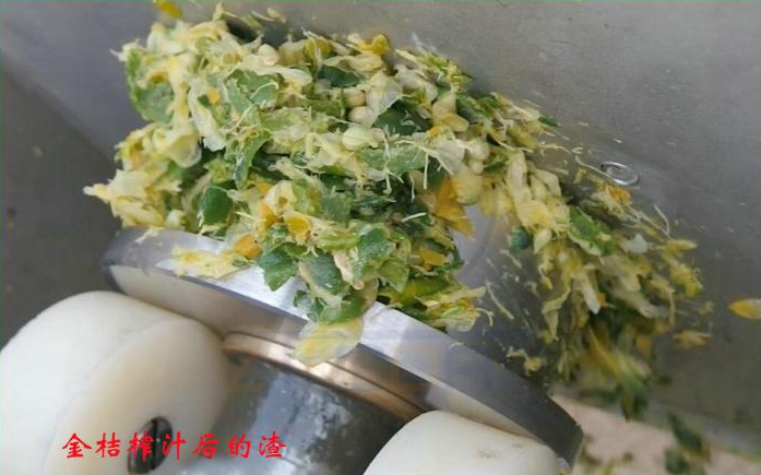 免费资料正版资料大全