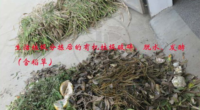 免费资料正版资料大全