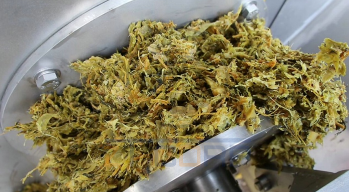 免费资料正版资料大全