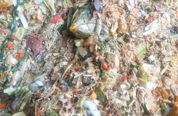 免费资料正版资料大全