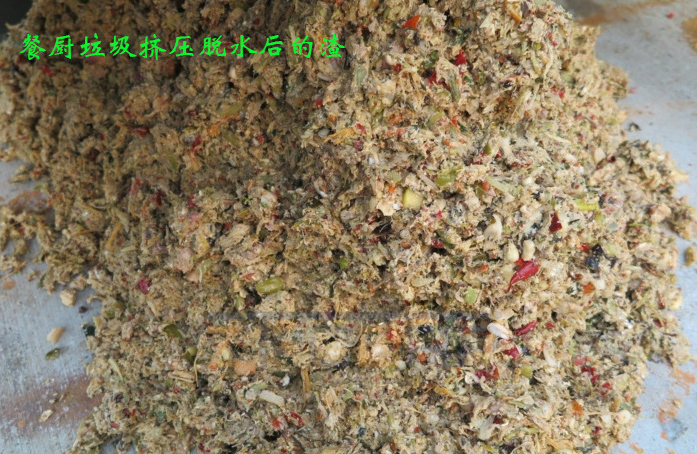 免费资料正版资料大全