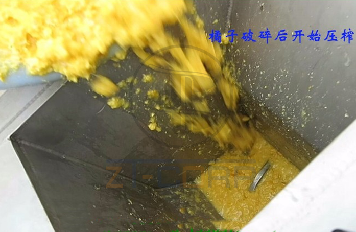 免费资料正版资料大全