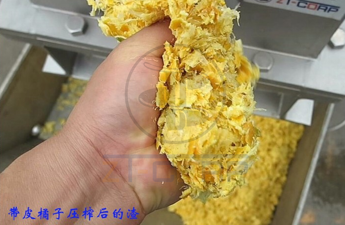 免费资料正版资料大全