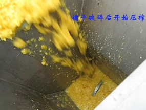 免费资料正版资料大全
