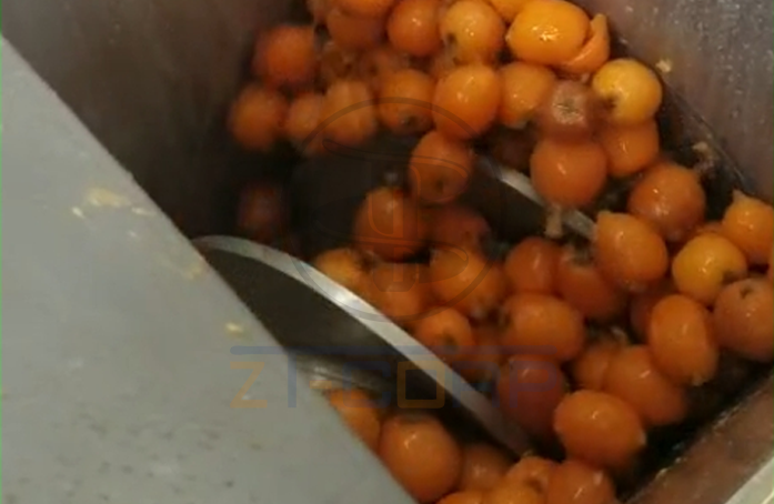免费资料正版资料大全