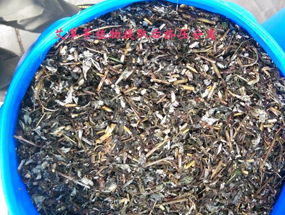 免费资料正版资料大全