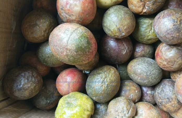 免费资料正版资料大全
