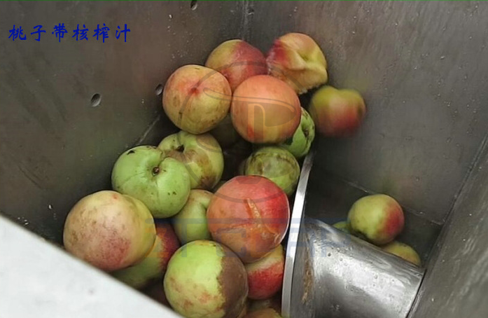 免费资料正版资料大全