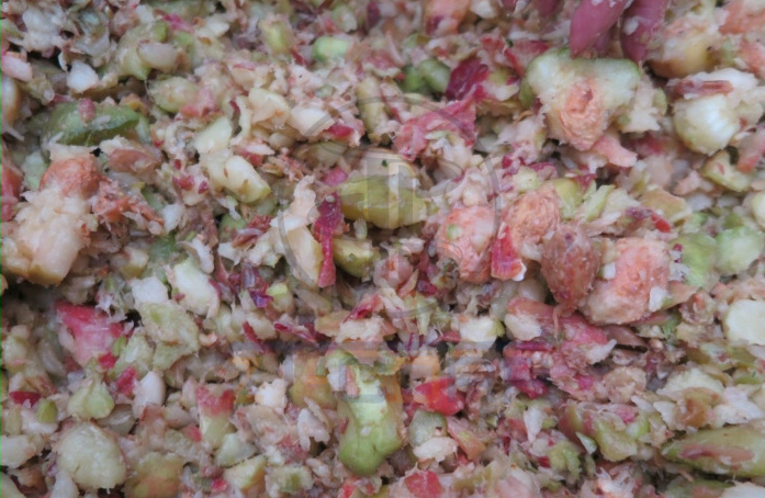 免费资料正版资料大全