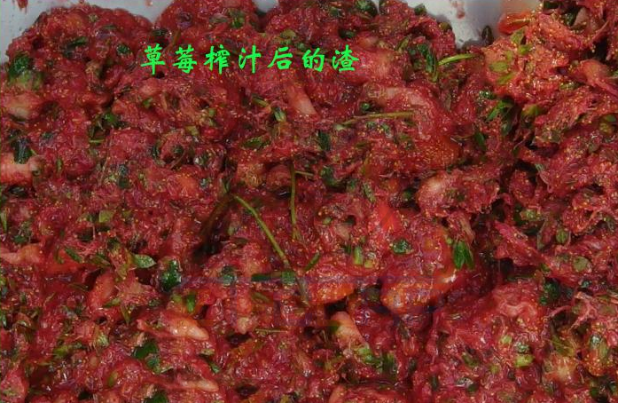 免费资料正版资料大全