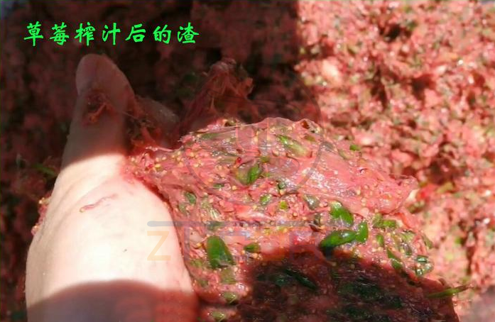 免费资料正版资料大全