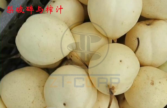 免费资料正版资料大全