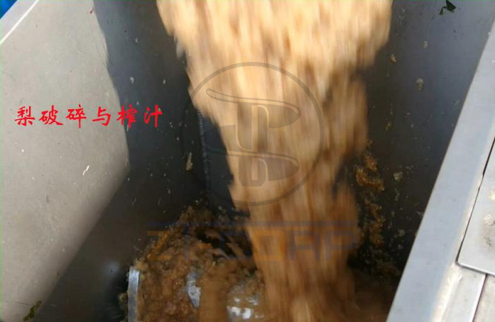 免费资料正版资料大全