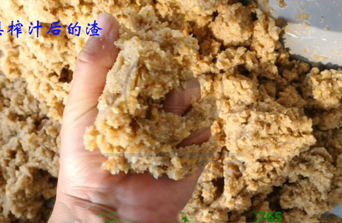 免费资料正版资料大全