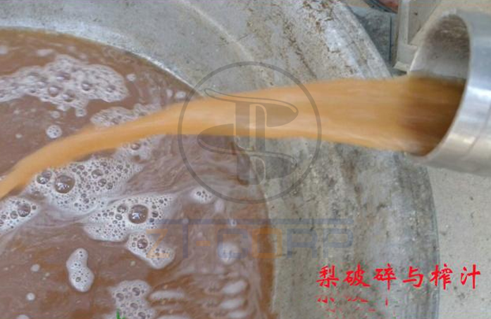 免费资料正版资料大全
