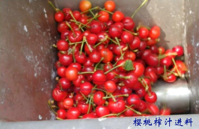 免费资料正版资料大全