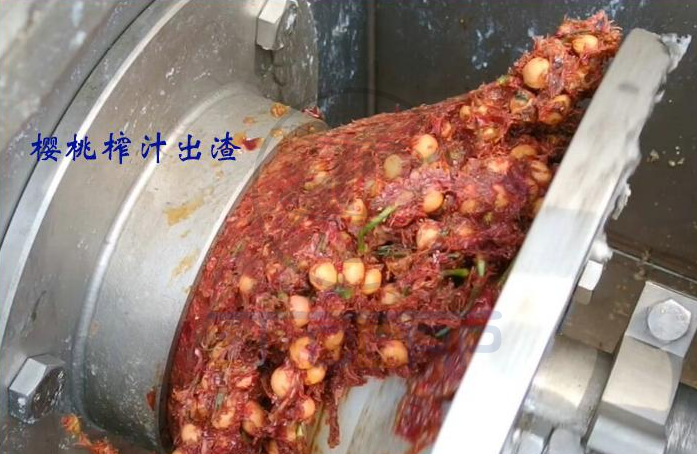 免费资料正版资料大全