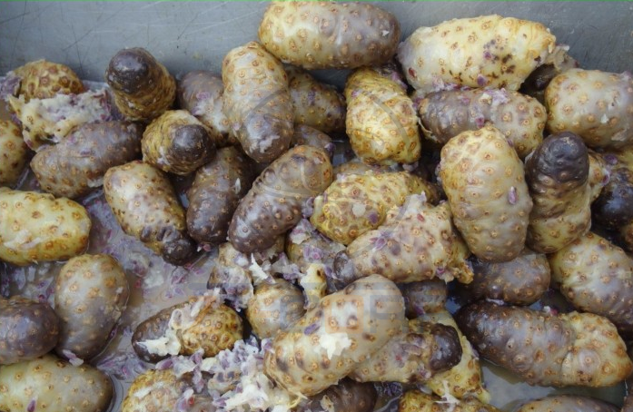 免费资料正版资料大全