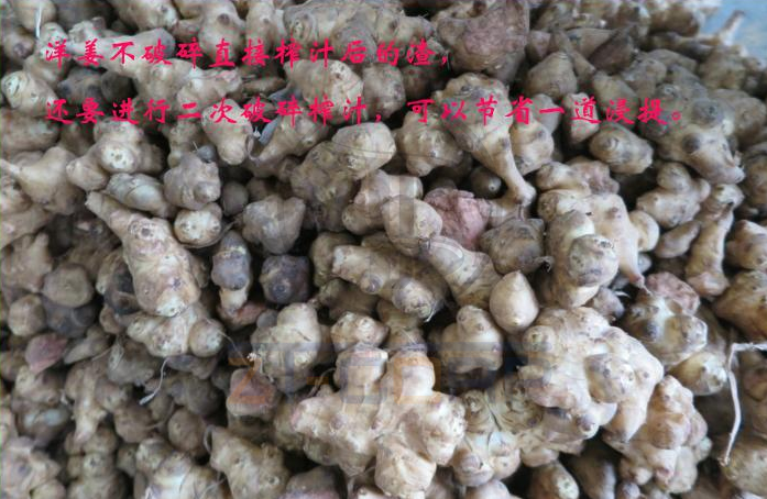 免费资料正版资料大全
