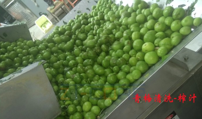 免费资料正版资料大全