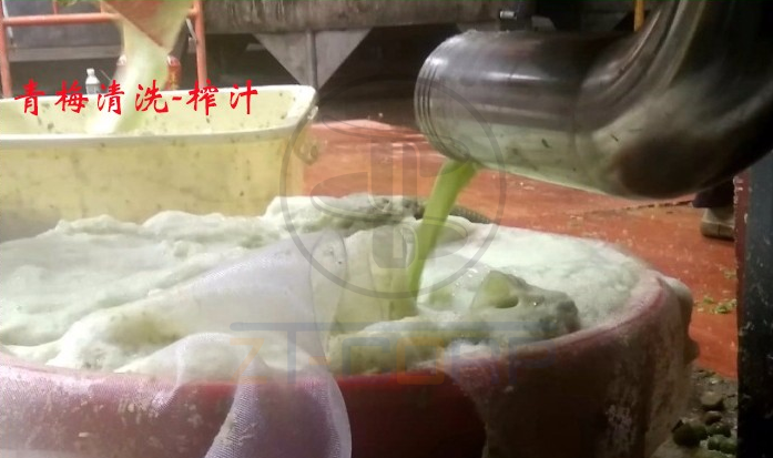 免费资料正版资料大全