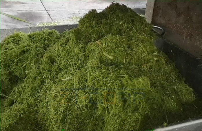 免费资料正版资料大全