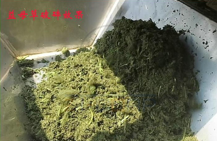免费资料正版资料大全