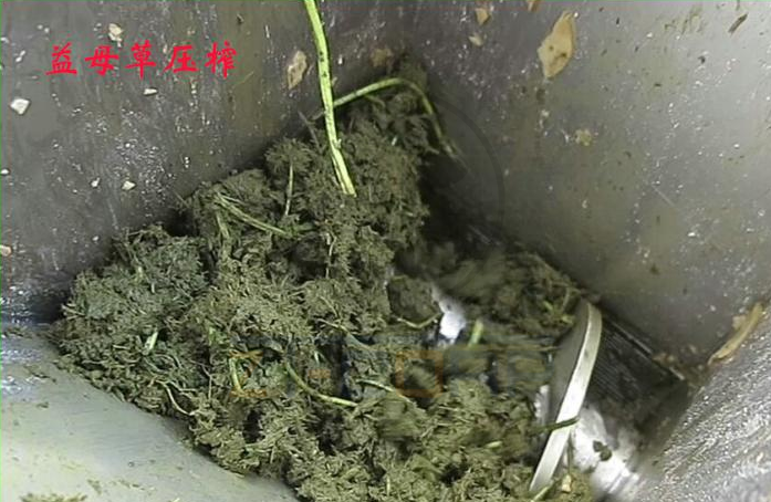 免费资料正版资料大全