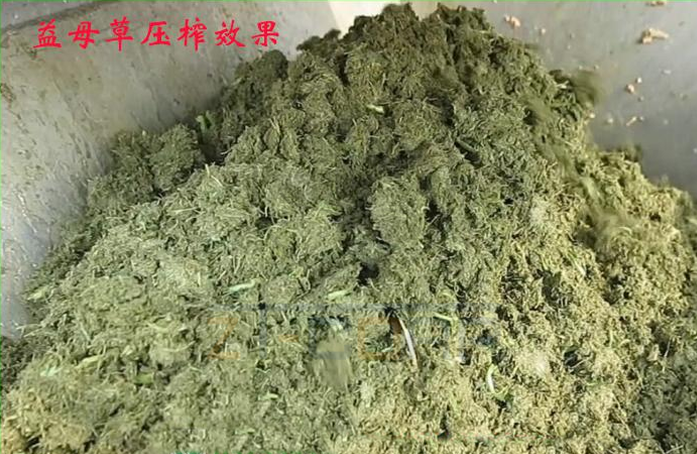 免费资料正版资料大全