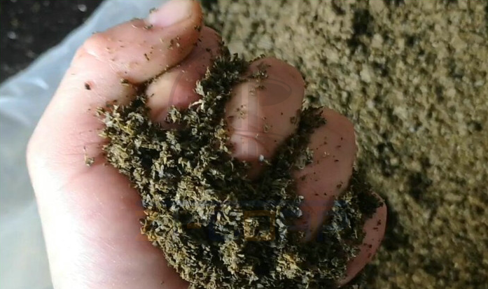 免费资料正版资料大全