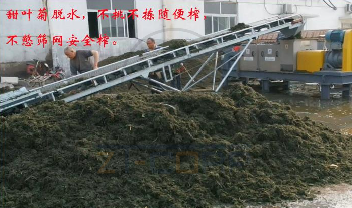 免费资料正版资料大全