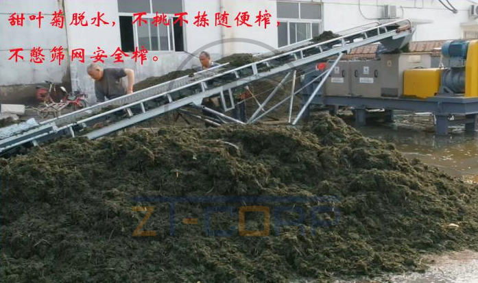 免费资料正版资料大全