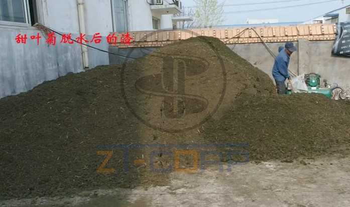 免费资料正版资料大全