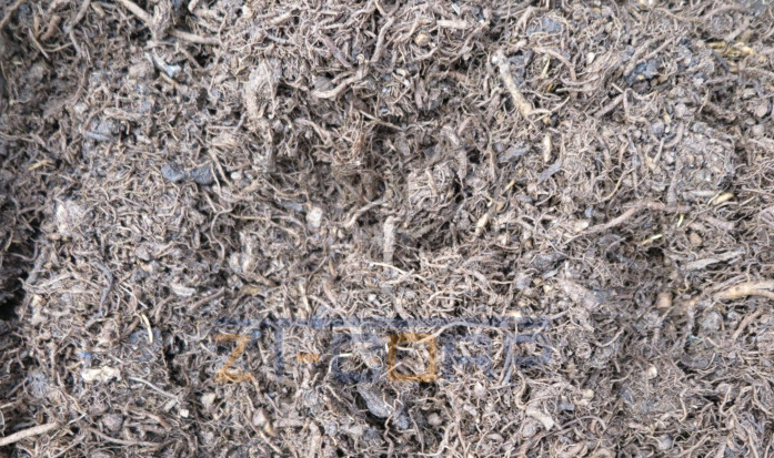 免费资料正版资料大全