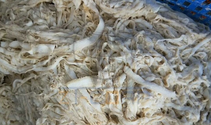 免费资料正版资料大全