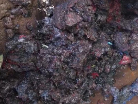 免费资料正版资料大全