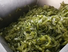 免费资料正版资料大全