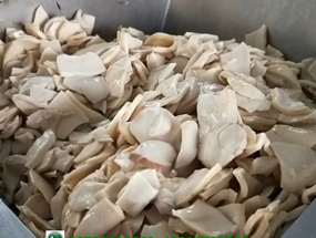 免费资料正版资料大全