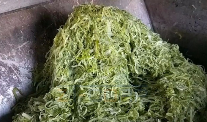 免费资料正版资料大全
