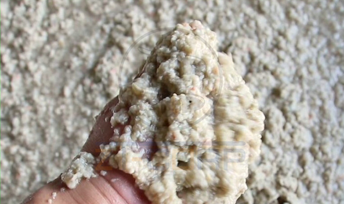 免费资料正版资料大全