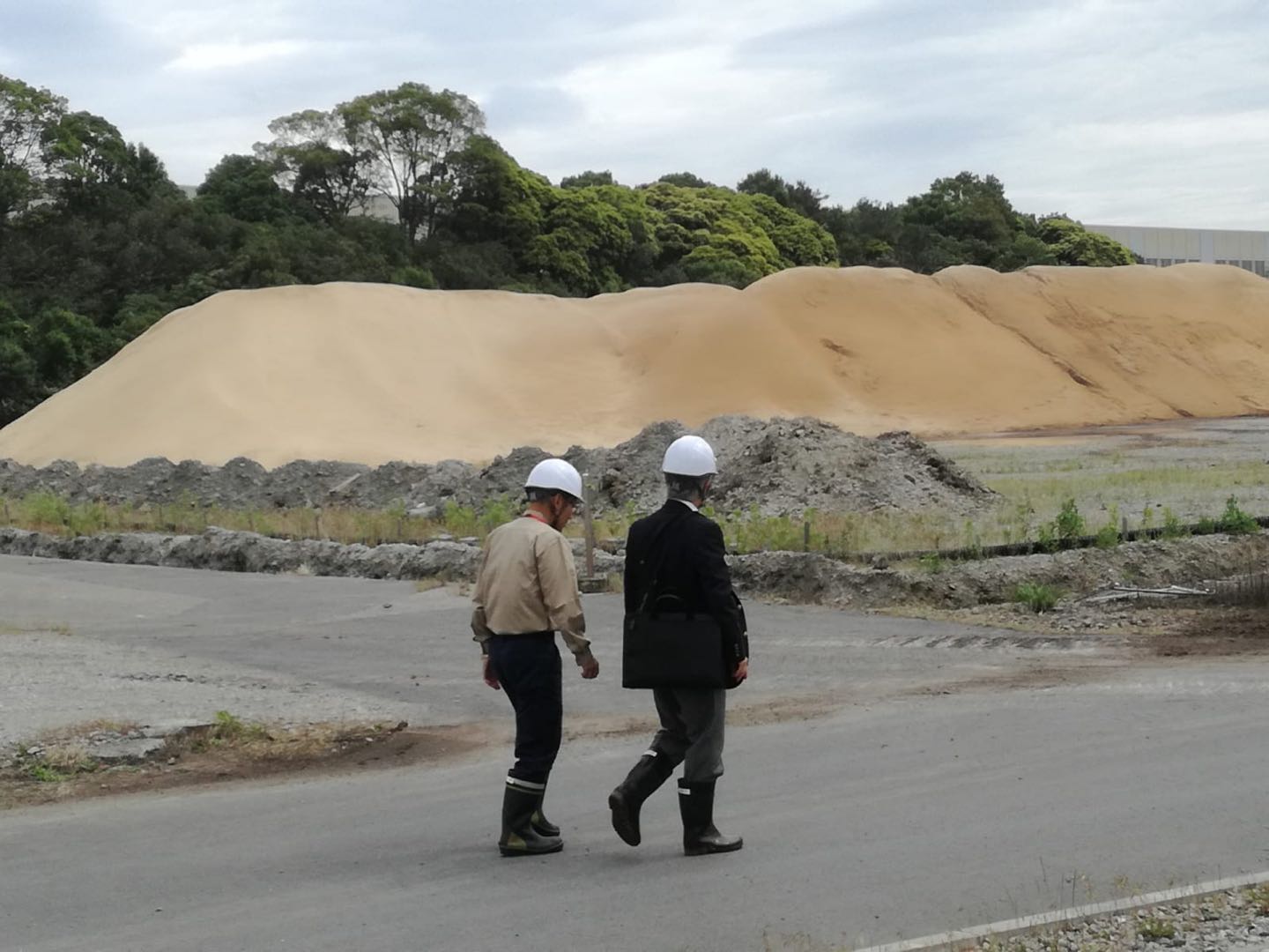 免费资料正版资料大全