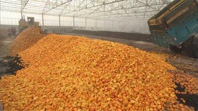 免费资料正版资料大全
